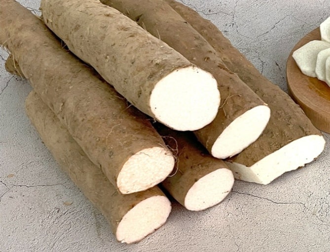 전립선에 좋은 음식