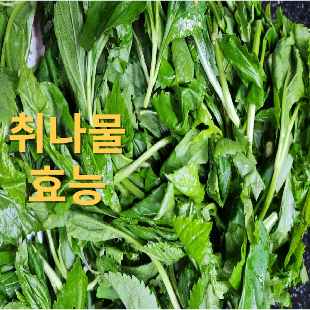 2월 제철음식 취나물 알아보기
