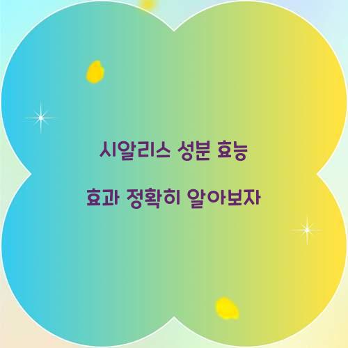 시알리스 성분 효능 효과