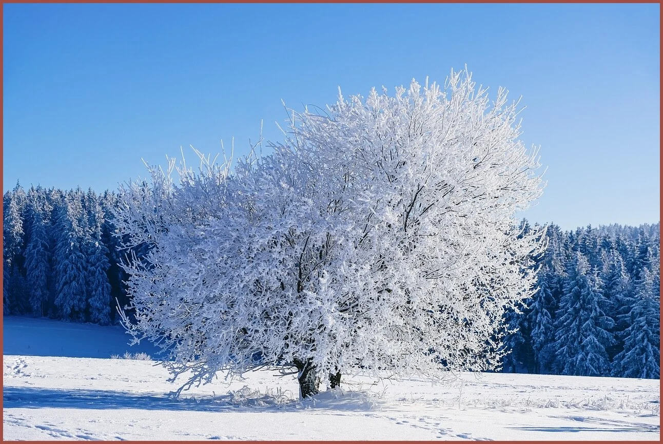 정기예금 이율높은곳