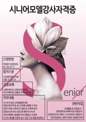 시니어 친화 자격 추천 분야별 난이도 응시팁 취업연계_8