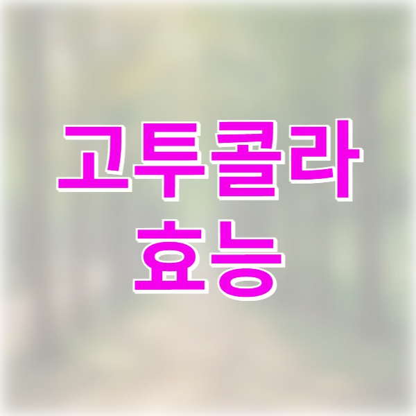 고투콜라 효능