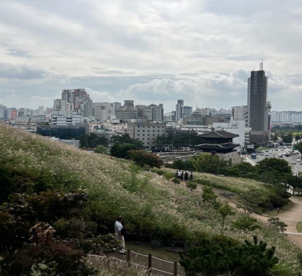 가을에 즐기는 서울 문화생활