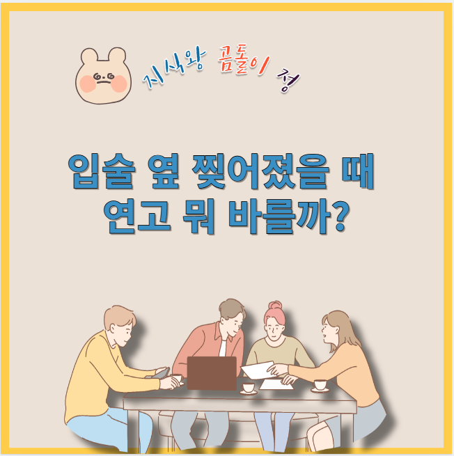 입술 옆 찢어졌을 때 연고 뭐 바를까?