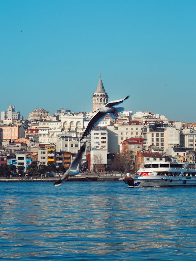 여권 만료 6개월 미만 입국 가능한 나라