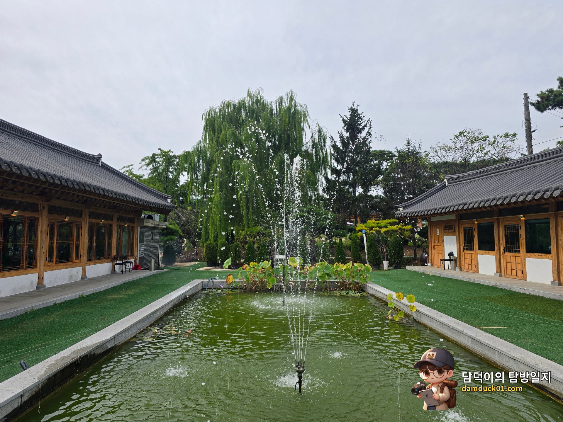 금산돈