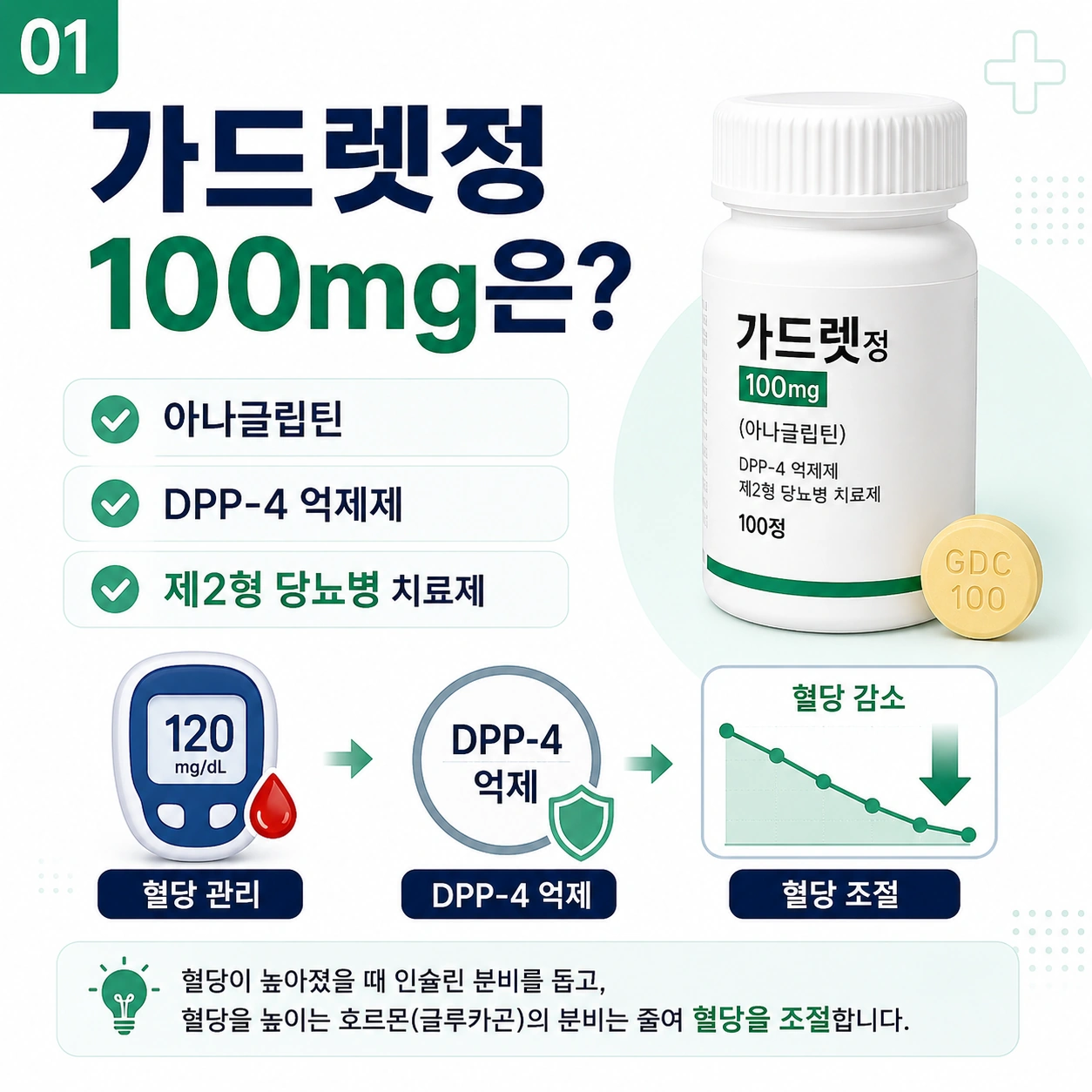가드렛정100mg은-어떤약일까-DPP4억제제 