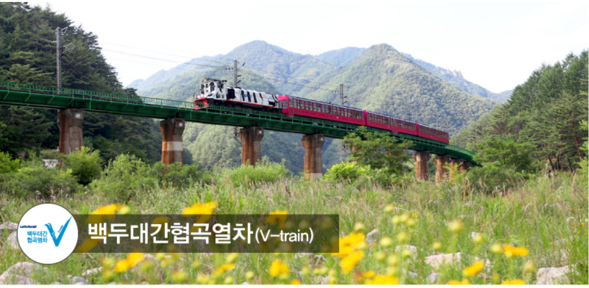 백두대간 협곡열차 (V-train)