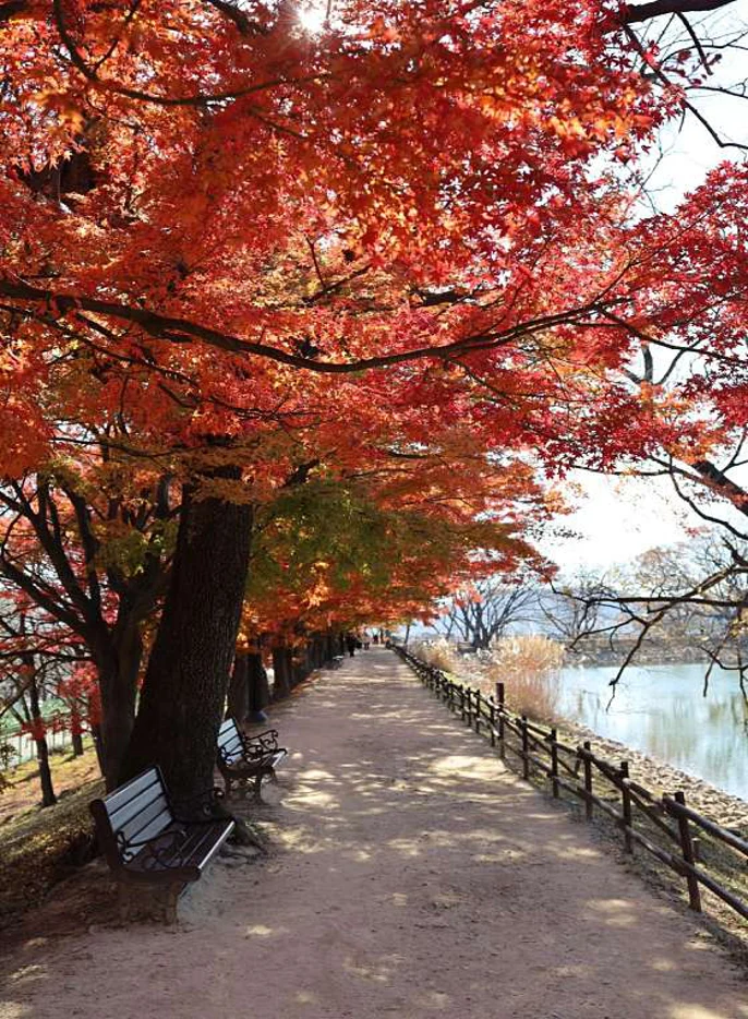 진해내수면환경생태공원