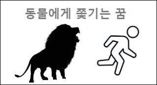 동물에게 쫓기는 꿈