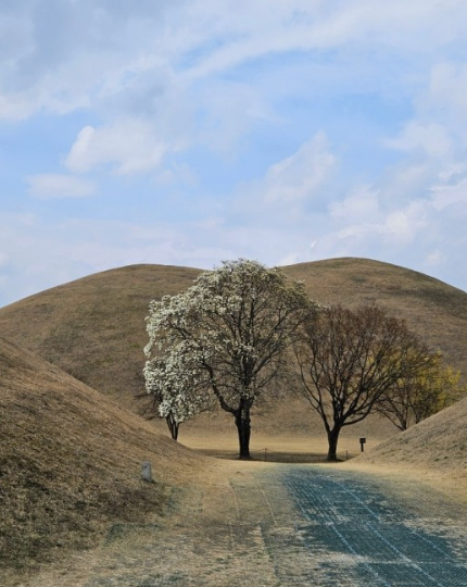 경주 가볼만한곳 추천 인기 BEST 11