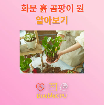 화분 흙 곰팡이 원인 탐구