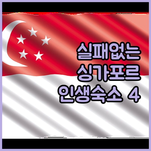 2024년 싱가포르 여행의 성패를 결..