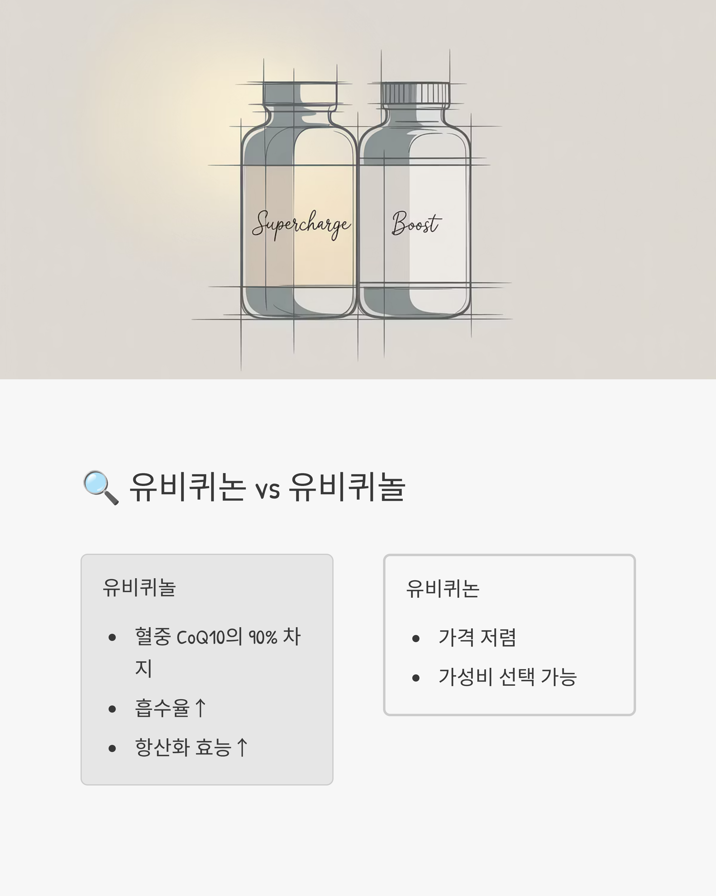 코엔자임Q10자료사진