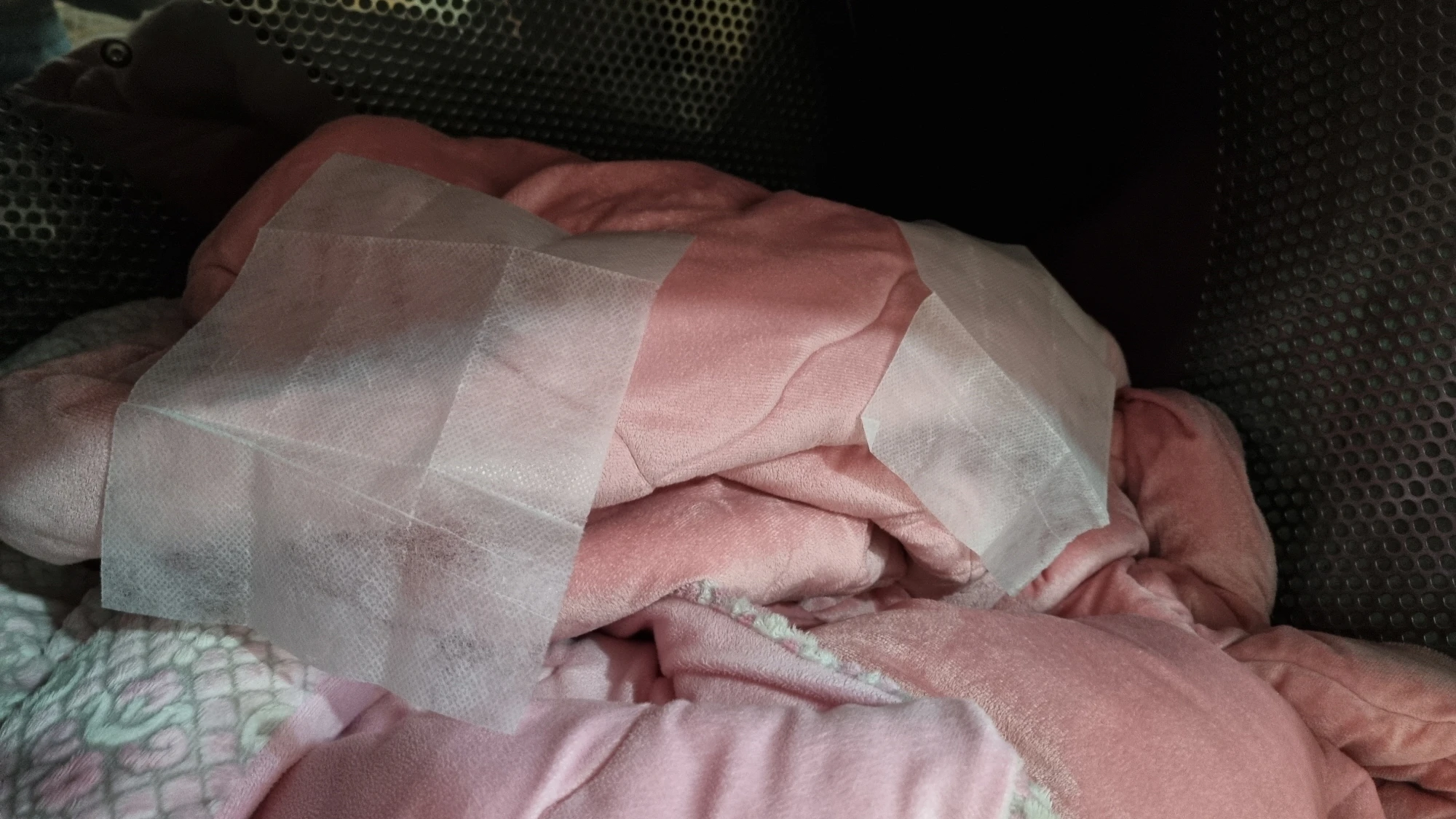 건조기용 섬유유연제 드라이시트 넣은 모습