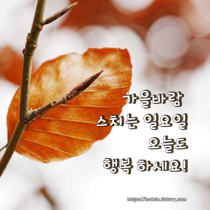 10월 시작 인사말