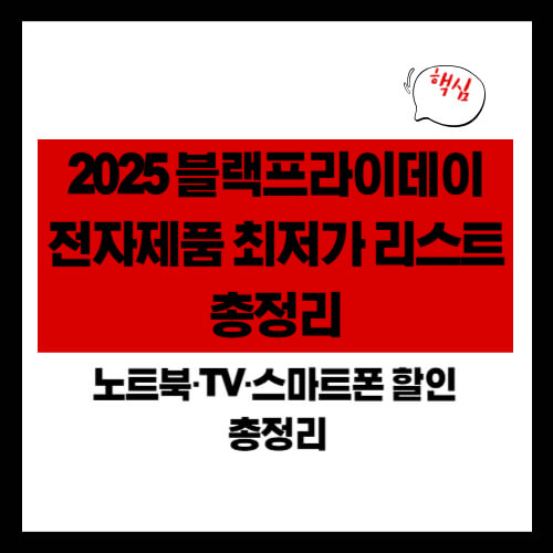2025 블랙프라이데이 전자제품 최저가 리스트 총정리