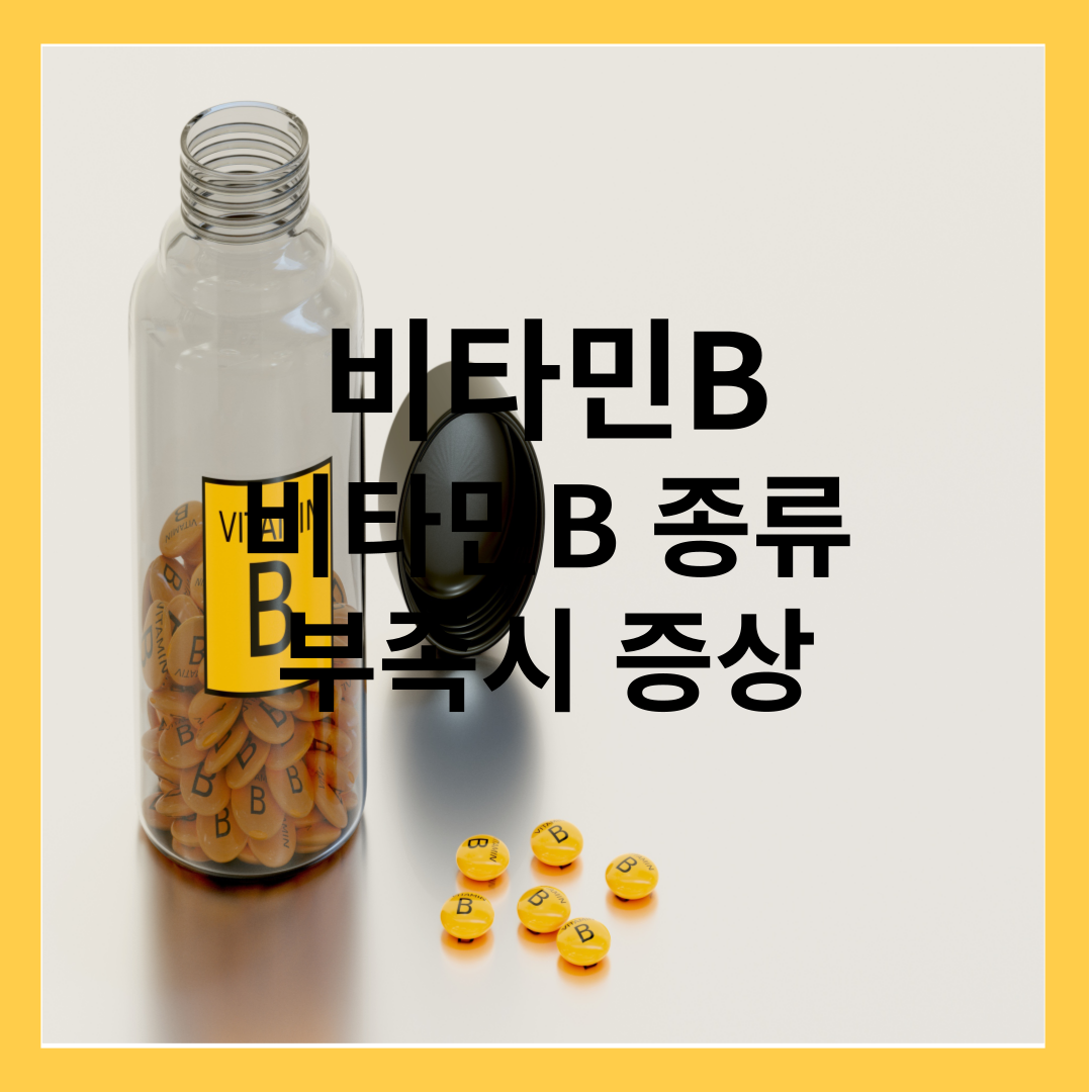 비타민 B - 비타민 B의 종류, 부족 증상