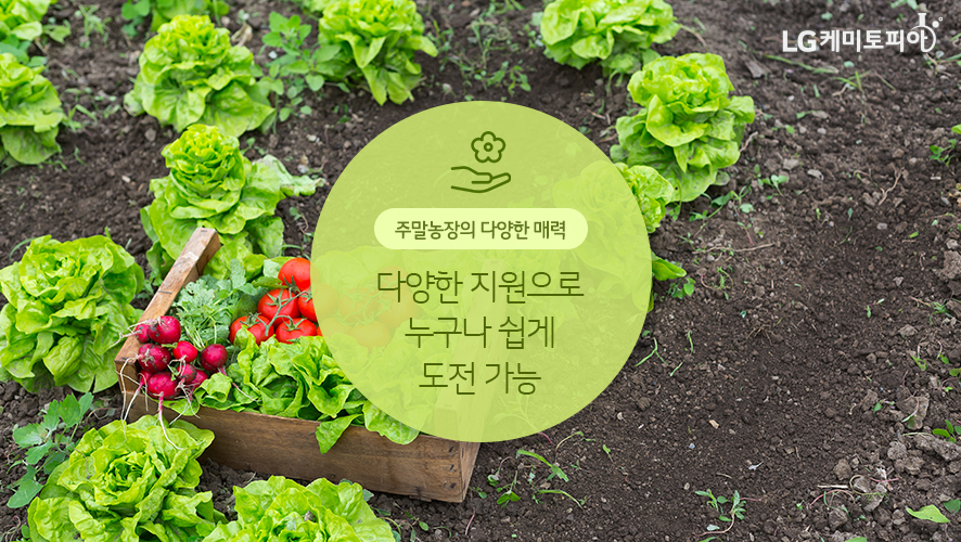 주말농장 이미지 사진