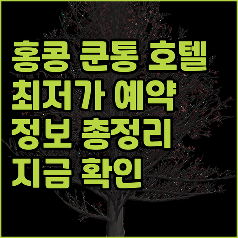 홍콩 쿤통 호텔 예약 고민 끝 최저가