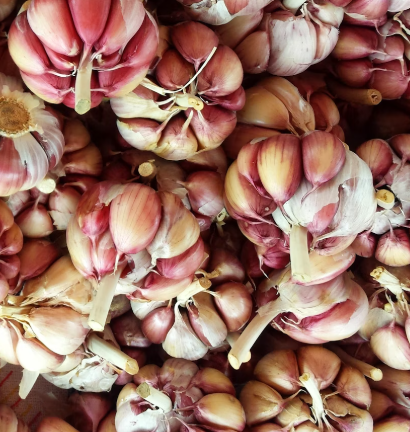 마늘 효능 효과 부작용 당뇨 혈관 건강