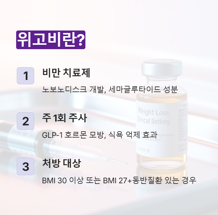 위고비의 의미