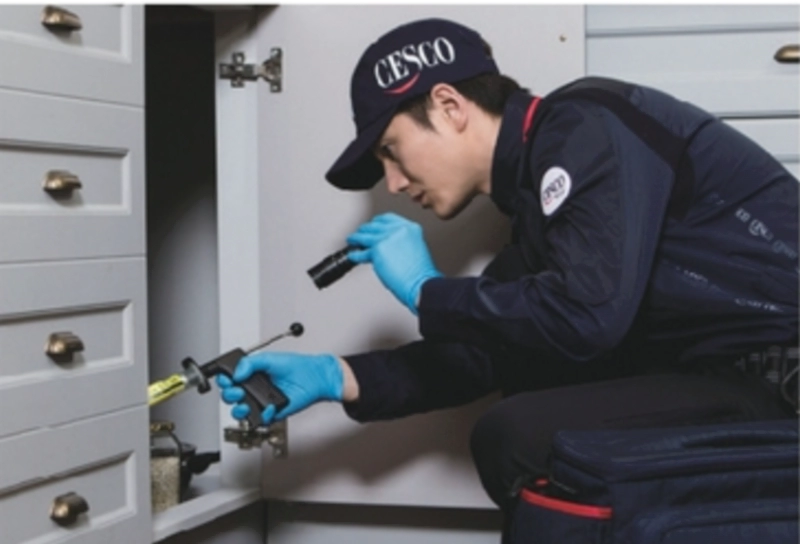 하부 씽크대에 건으로 약제를 도포한다.