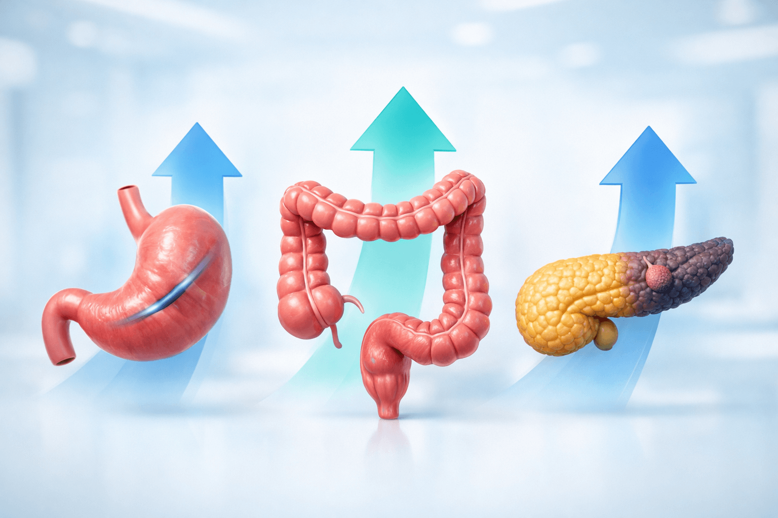 소화기암 생존율과 예방법 (위암, 대장암, 췌장암)