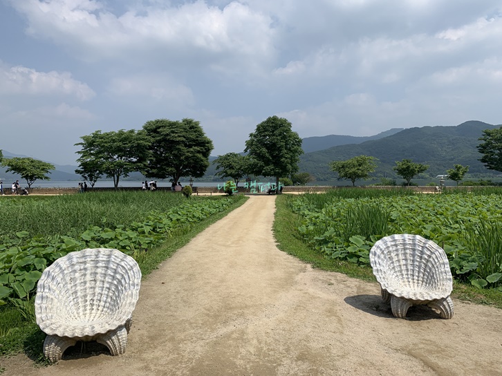 두물머리-산책로