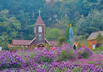 포천 허브아일랜드3