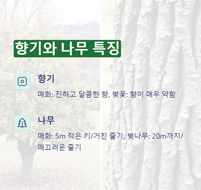 향기와 나무의 특징