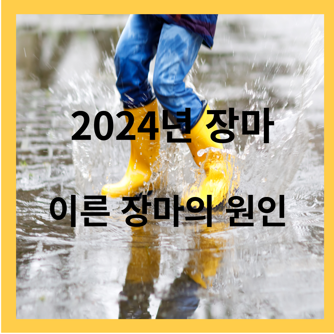 2024년 장마 시작- 이른 장마의 원인, 특징, 종료시기