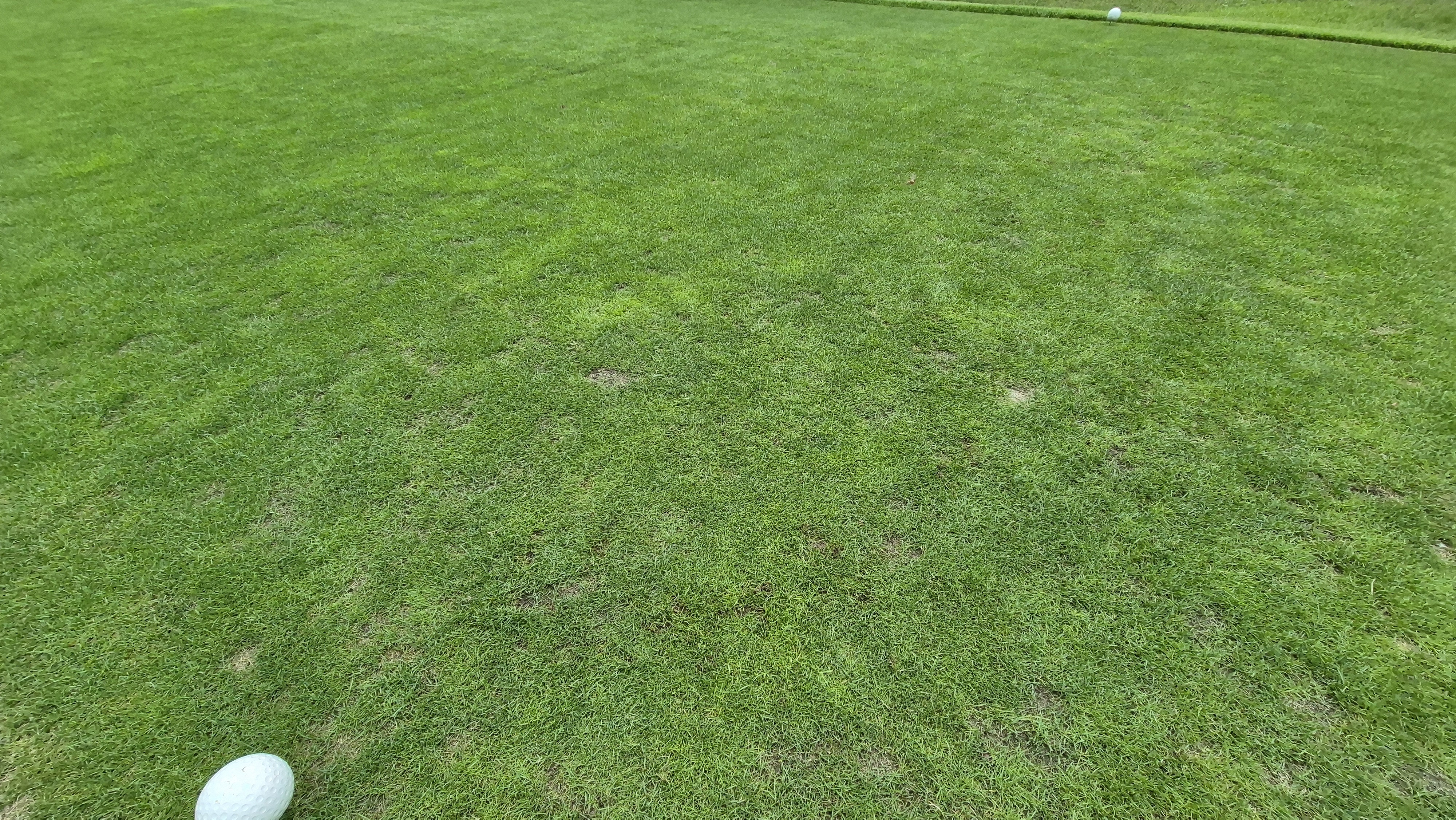 뉴서울cc 예술in-문화in 코스 라운드 후기