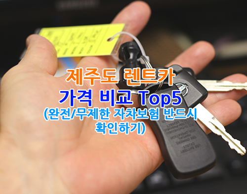 제주도 렌트카 가격 비교 대표이미지