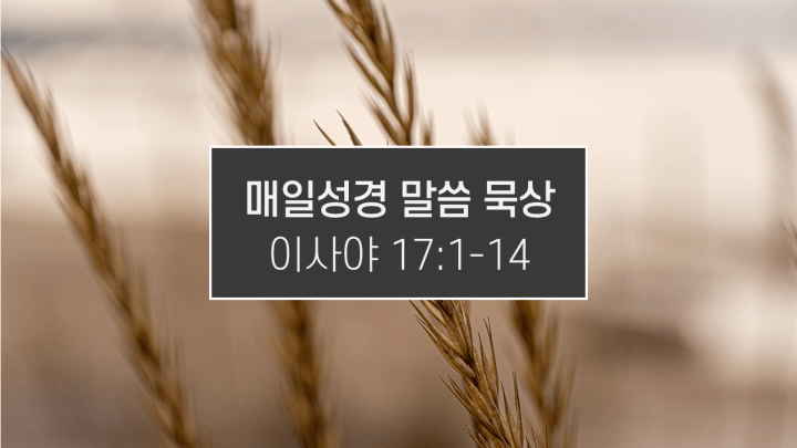 썸네일-갈대
