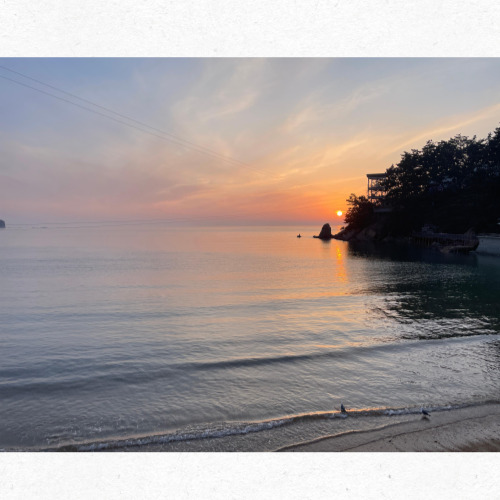 몽산포 갯벌 체험하는 가족들