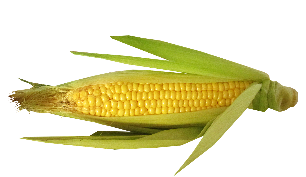 하루 5분 루틴으로 AGEs 차단! 당 독소 막기!