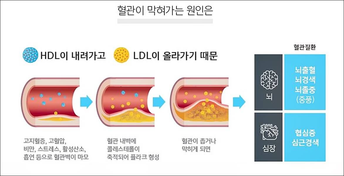 폴리코사놀 효능 부작용 총정리