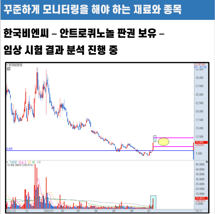 한국비엔씨 관심종목 정리 예시