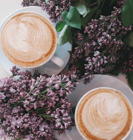 카페인 부작용, 중독, 과다섭취, 권장량