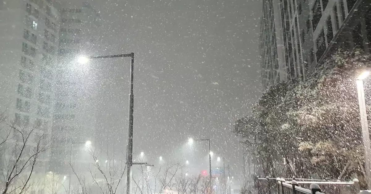 함박눈 내리던 날3