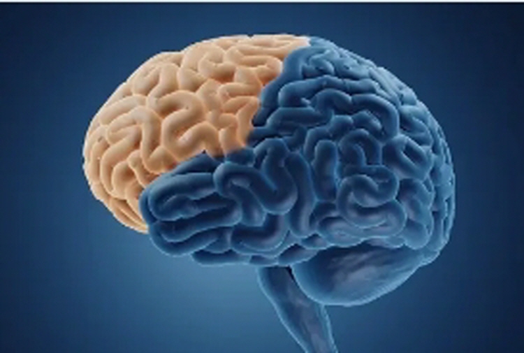 성인 ADHD 테스트