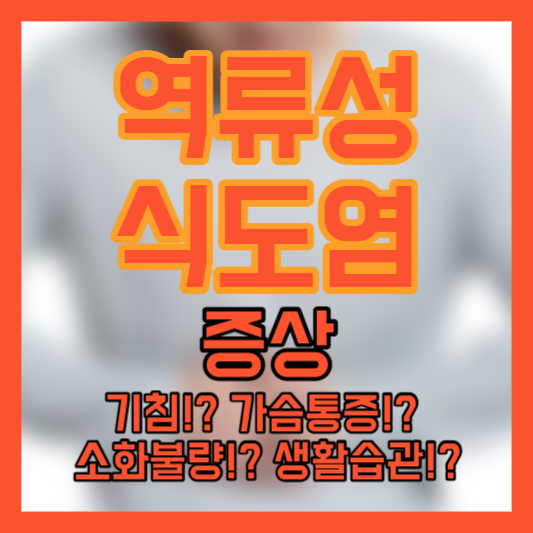 역류성 식도염 증상 - 기침!? 가슴통증!? 소화불량!? 생활습관!?