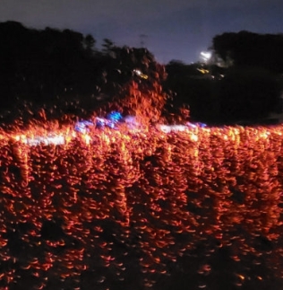 2025년 세종시 세종낙화축제