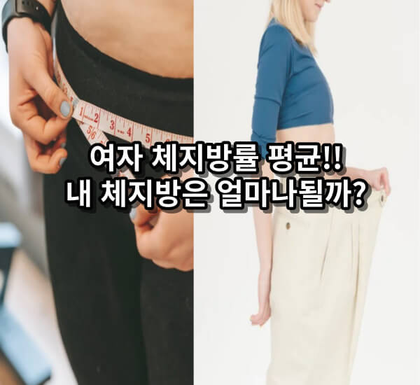 여자 체지방률 평균 구하는 공식!