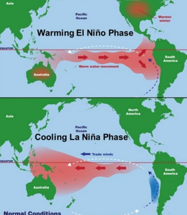 [팩트체크] &ldquo;'이상고온'은 엘니뇨(El Ni&ntilde;o) 현상 때문&hellip;화석 연료와 관련 없어&rdquo; El Ni&ntilde;o Triggers Record-Breaking Heat Worldwide