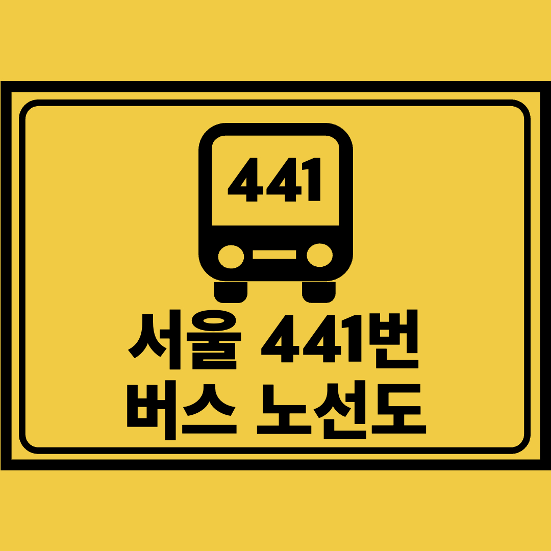 서울441번버스노선도