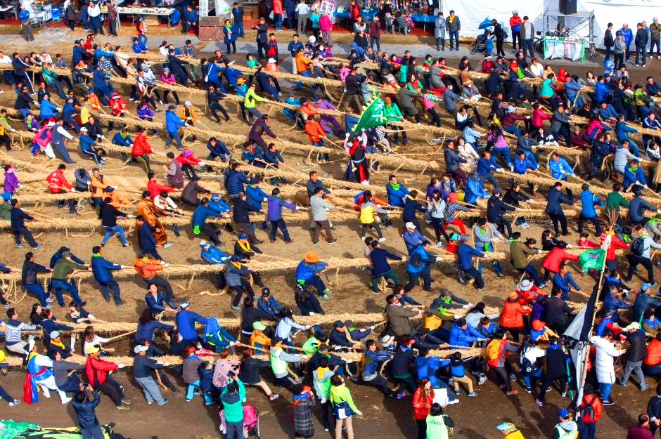 기지시줄다리기축제