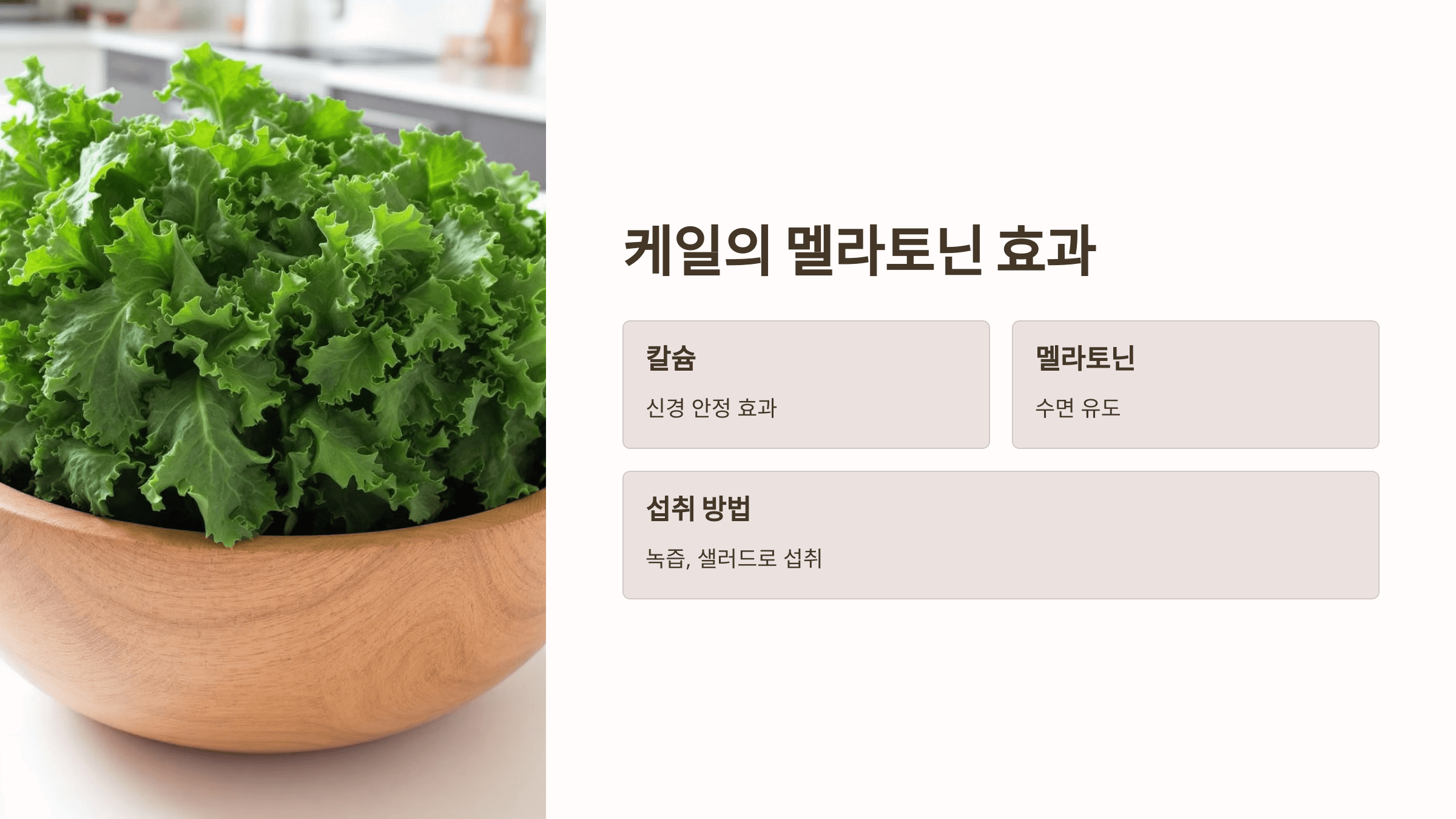 멜라토닌과 관련된 사진입니다.