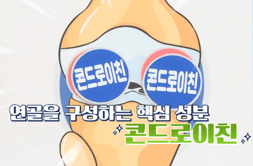 관절 영양제 추천, 관절 영양제 고를 때 주의사항